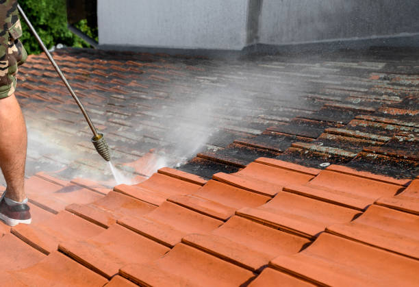 Best Affordable Power Washing  in Los Molinos, CA